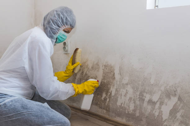 Best Mold Testing  in Ferdand, IN