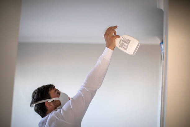 Best Mold Removal Near Me  in Ferdand, IN