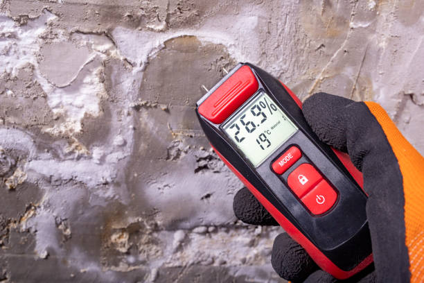 Best Office Mold Removal Services  in Ferdand, IN